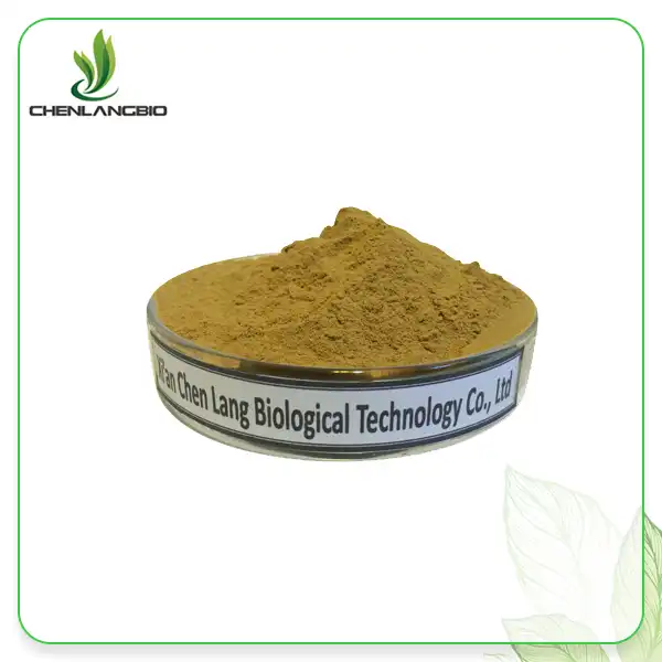 Lavender Extract Powder Lavender Extract Powder